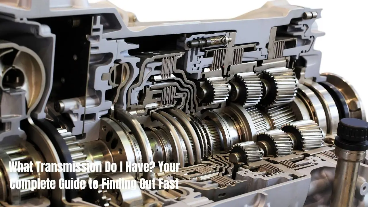 A transmission specialist can read these codes to catch problems early.