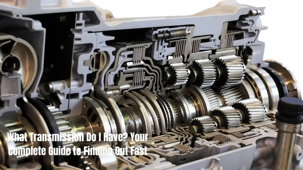 A transmission specialist can read these codes to catch problems early.