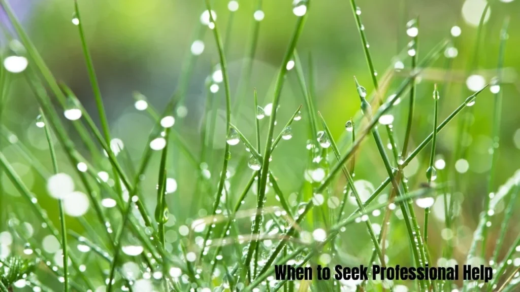 How to Fix Your Water-Damaged Phone in 8 Steps