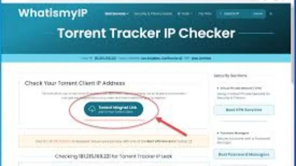 Torrent Trails: Unmasking Your Torrent Downloads with IP Address