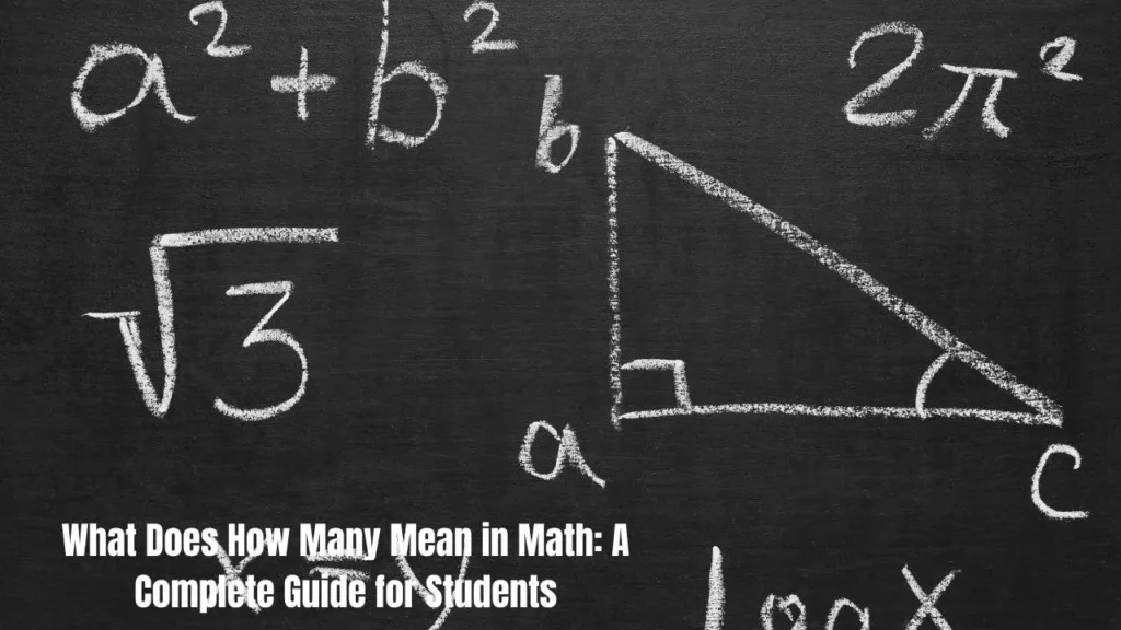 What Does How Many Mean in Math: A Complete Guide for Students