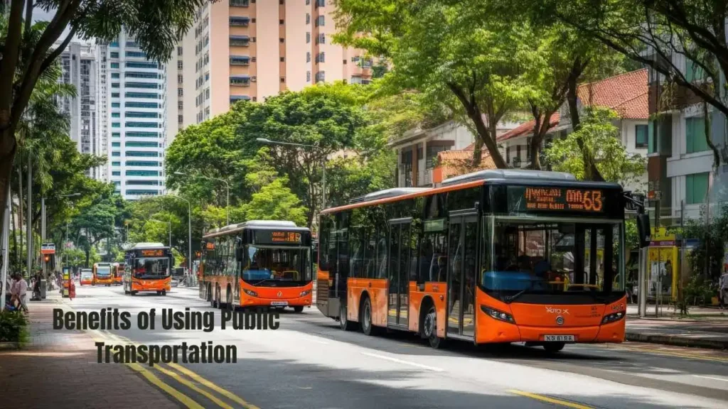 How to Use Public Transportation in the USA: A Beginner's Guide